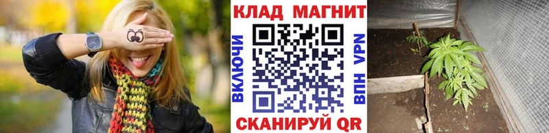 Как найти закладки Чаплыгин Гашиш  Кокаин  Мефедрон 