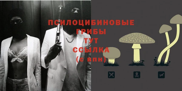 прущая мука Алзамай