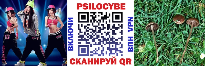 Псилоцибиновые грибы прущие грибы  закладки  Чаплыгин 